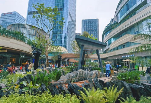 關(guān)注第十八屆重慶市市長(zhǎng)國際經(jīng)濟(jì)顧問團(tuán)會(huì)議 重慶打造內(nèi)陸開放綜合樞紐 市長(zhǎng)顧問團(tuán)企業(yè)如何助力