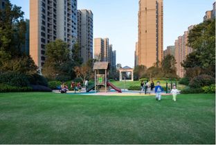 新力鈺瓏灣 金盤網