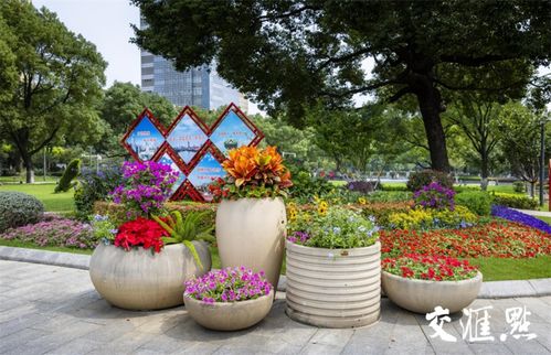 科技范 齒輪 轉(zhuǎn)動(dòng) 南京著 盛裝 慶國(guó)慶