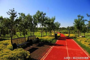 北京房山竟然有一個景色絕美的原生態公園,滿園清新空氣沁人心脾