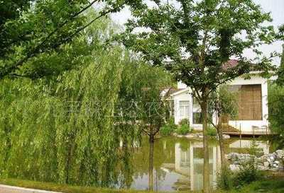 深圳市文科園藝實(shí)業(yè)經(jīng)營(yíng)部_世界工廠網(wǎng)全球企業(yè)庫(kù)