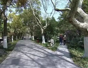 人民公園南拓景觀綠化工程 提速推進(jìn)建設(shè) 打造園林精品