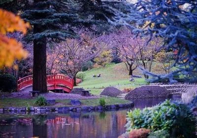 日本庭園火遍全球,可與中國園林媲美