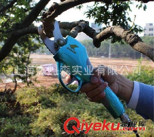 電動園藝剪刀 電動剪刀、果樹電動修枝剪批發(fā)、園林園藝修枝剪批發(fā)、樹枝修剪機圖片|電動園藝剪刀 電動剪刀、果樹電動修枝剪批發(fā)、園林園藝修枝剪批發(fā)、樹枝修剪機產(chǎn)品圖片由上海杰魁森實業(yè)公司生產(chǎn)提供-