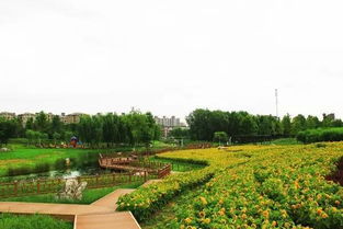 免費的午餐沒有,但是這里有免費又美麗的景致