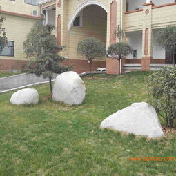 供應園林藝術(shù)景觀施工 小型景觀石,供應園林藝術(shù)景觀施工 小型景觀石生產(chǎn)廠家,供應園林藝術(shù)景觀施工 小型景觀石價格