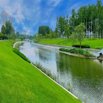 云南迪慶常青草種草籽專賣店 邊坡綠化與園林實(shí)業(yè)的專業(yè)選擇