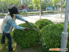 新余園林綠化企業(yè) 園林實(shí)業(yè)的綠色發(fā)展之路