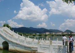 招商局 以園林實(shí)業(yè)構(gòu)筑生態(tài)城市新圖景