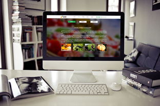 食品公司網(wǎng)頁(yè)設(shè)計(jì)與廣告設(shè)計(jì)的融合 打造品牌吸引力與用戶體驗(yàn)